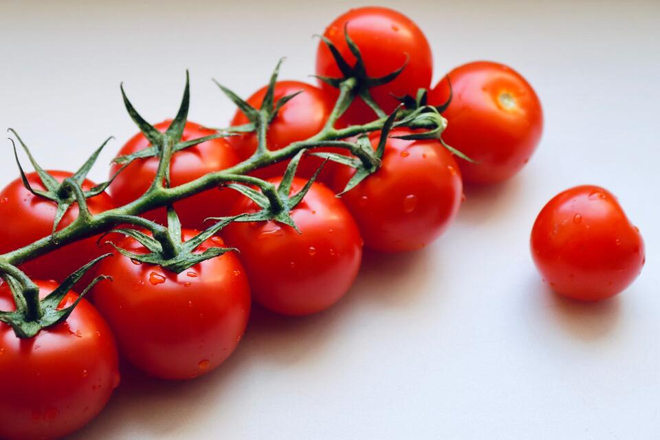 Des tomates cerises rouges en grappe sur un fond clair, photo d’illustration.