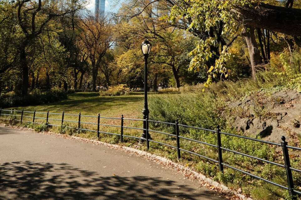 A park path bordered by trees and a fence, illustrative photo.